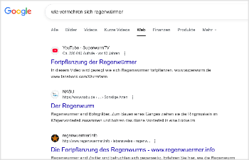 Google-Suche wie damals